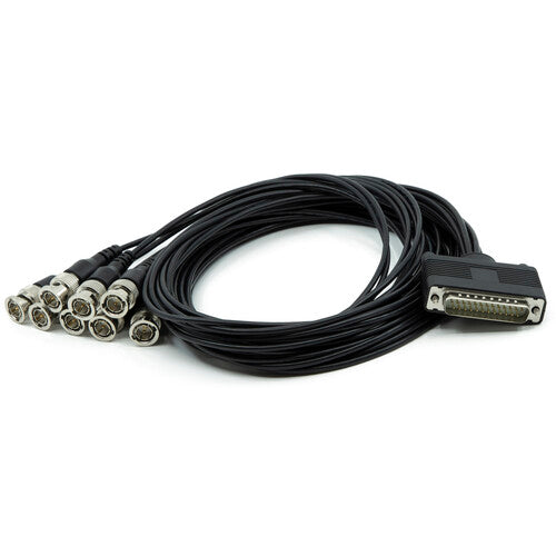 AJA Video Systems 12G-AM-8BNC-CBL 12G-AM用BNCブレイクアウトケーブル(8ch IN & 8ch OUT)