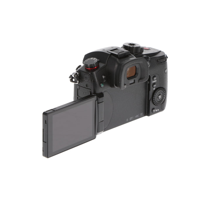 【中古品】Panasonic DC-GH5S-K ミラーレス一眼カメラ GH5S(ボディ)