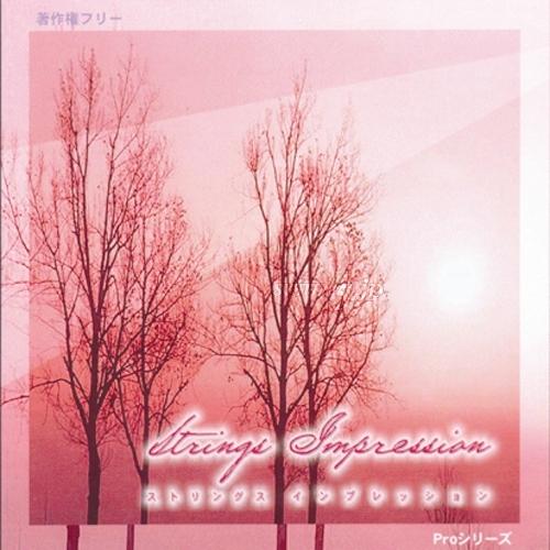 EXインダストリー EXD-205 著作権フリー音源集 プロシリーズ 『ストリングスインプレッション』