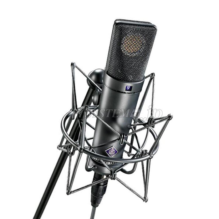 Neumann U 89 i mt ラージダイヤフラムマイクロフォン(ブラック)