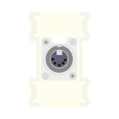 CANARE CP-5X1DS-I 壁用AVコンセント CPシリーズ XLR5P/NC5P アイボリー