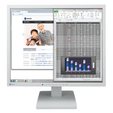 EIZO S1934-TGY 19型カラー液晶モニター