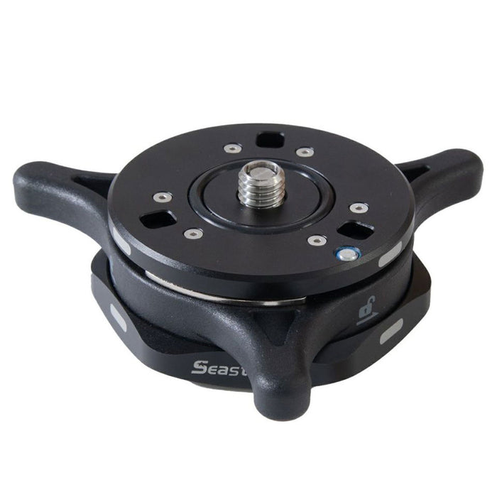 iFootage iFootage SEASTARS Q1Sセット