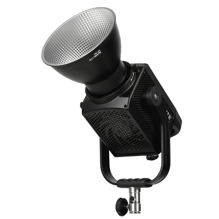 NANLITE Forza 500 II LED スポット ライト