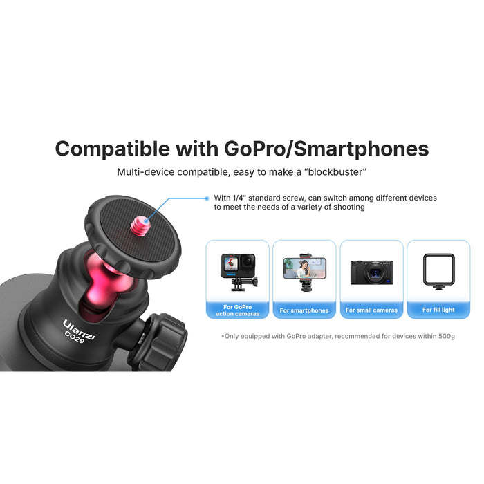 Ulanzi C062GBB1 C029 GoPro用マグネティックカメラマウント
