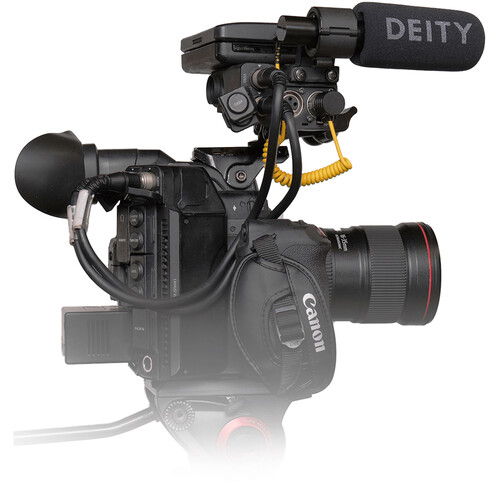 Deity Microphones DTA0211D60 V-Link 3.5mm TRS オス to XLR 3ピン オス マイクアダプターケーブル (12インチ)