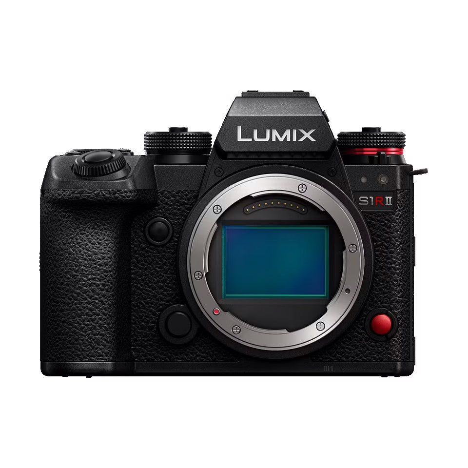 LUMIX S1 バッテリー2本つき シャッター数2320 α7IIIがあるのに