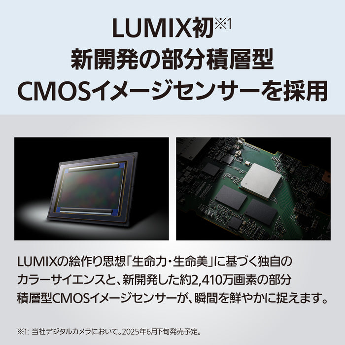 Panasonic DC-S1M2M フルサイズミラーレス一眼カメラ LUMIX S1II レンズキット(標準ズームレンズ)