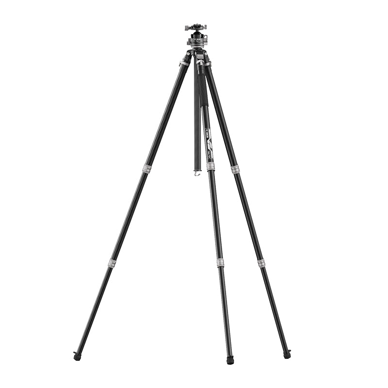 N_1210572p1.jpg?v=1750650794