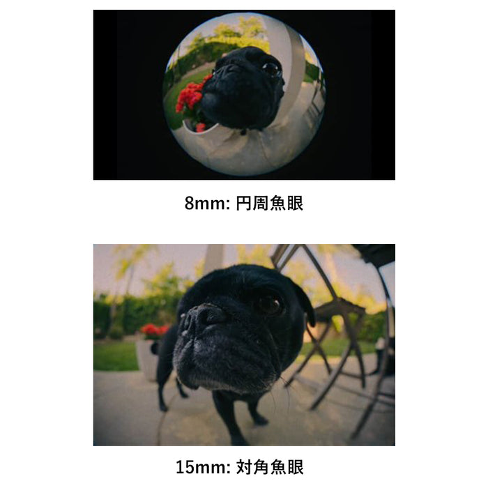 LAOWA LAO0823 8-15mm T2.9 FF Zoom Fisheye Cine(PLマウント)