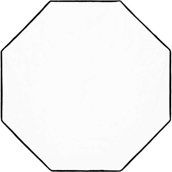 Profoto 101319 Clic ソフトボックス 2.7 オクタ