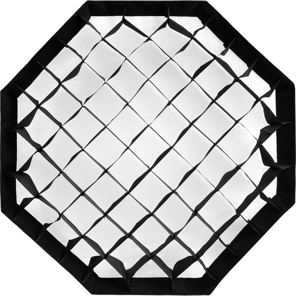 Profoto 101212 OCFソフトグリッド 50° 2インチ オクタ