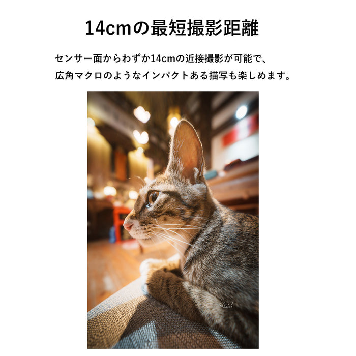 LAOWA LAO0827 12mm F2.8 Lite Zero-D FF(MF) ライカLマウント