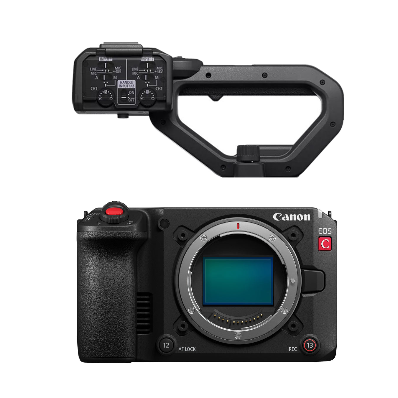 Canon EOS C50 デジタルシネマカメラ