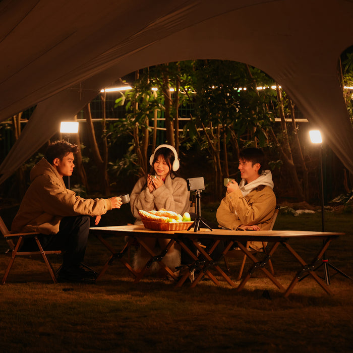 Ulanzi L149 K6500 マグネット式ビデオライト