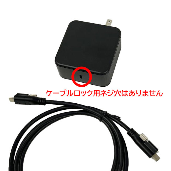 NEP USB-SY100W-LOCK1C USB PD対応充電アダプター（100W/2.0m）