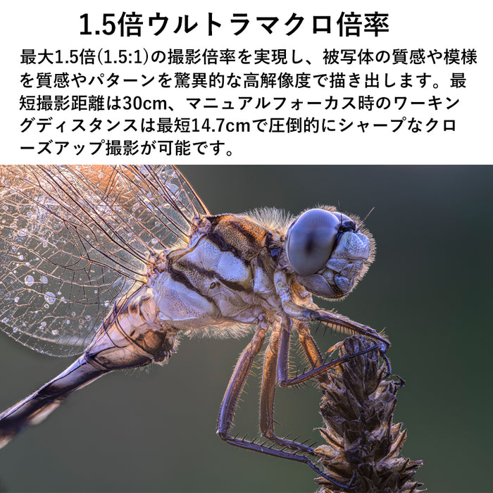 LAOWA LAO0839 180mm F4.5 1.5x Ultra Macro APO(Auto Focus/キヤノンEFマウント)