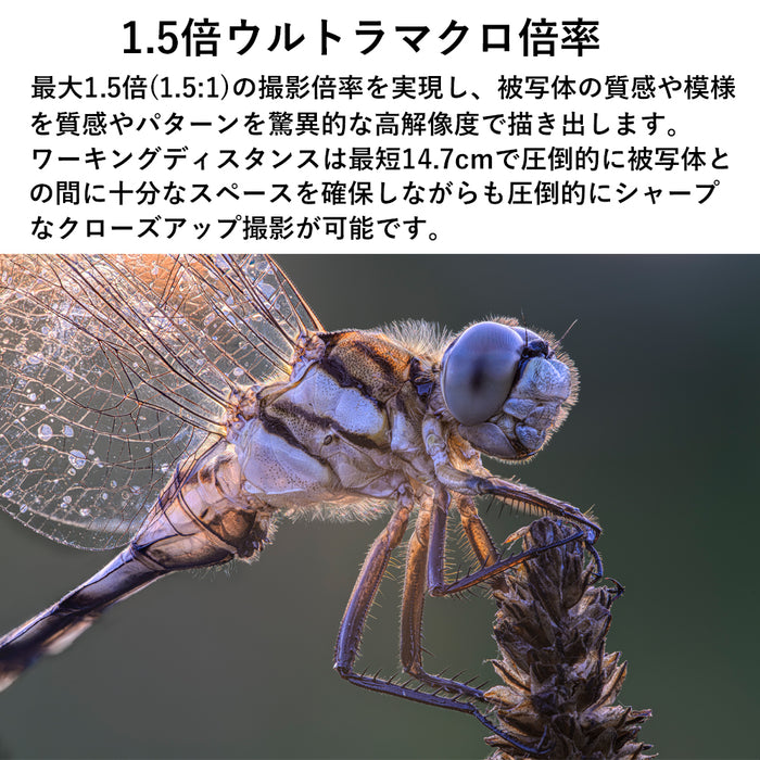 LAOWA LAO0841 180mm F4.5 1.5x Ultra Macro APO(ライカLマウント)