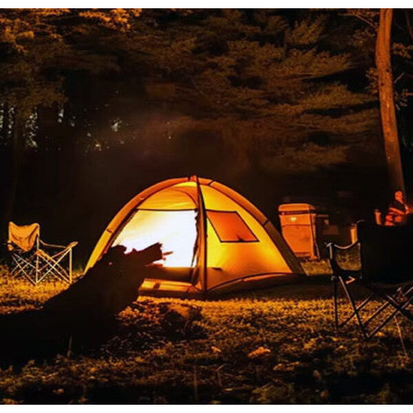 LPL L26627 LEDライト VL-GZ54