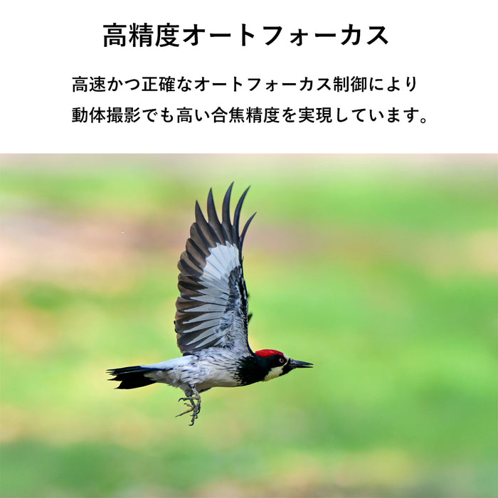 LAOWA LAO0842 200mm F2 AF FF(Eマウント)