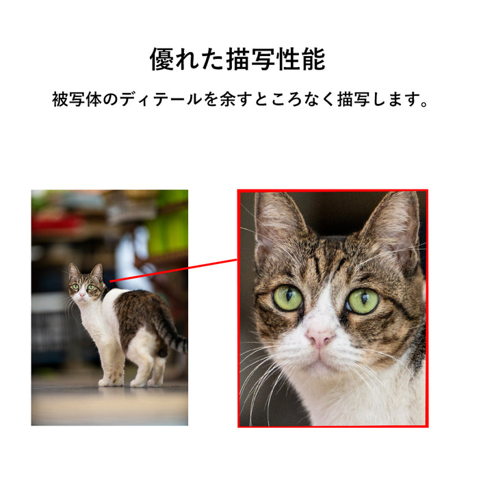 LAOWA LAO0843 200mm F2 AF FF(Zマウント)