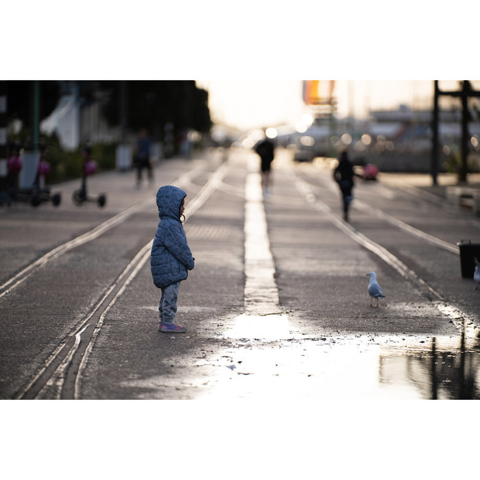 LAOWA LAO0844 200mm F2 AF FF(EFマウント)