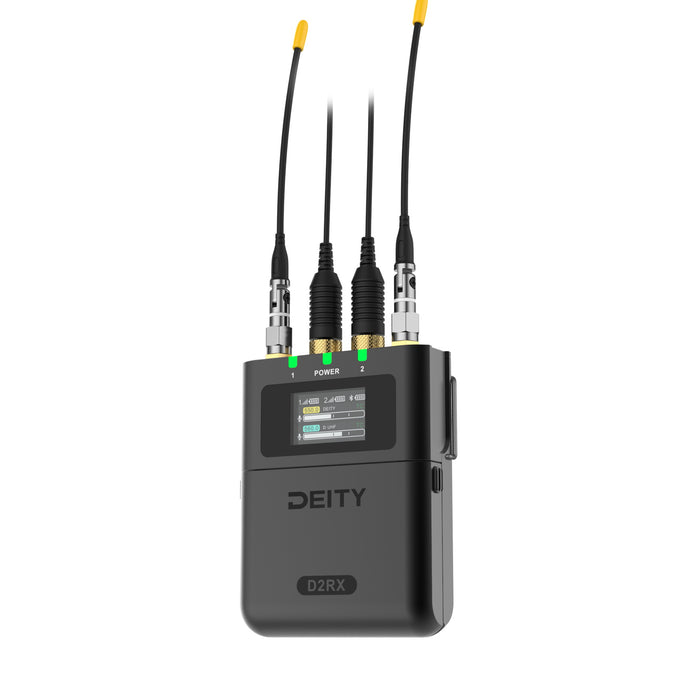Deity Microphones DP0402048J THEOS デジタルワイヤレス 2ch受信機 D2RX