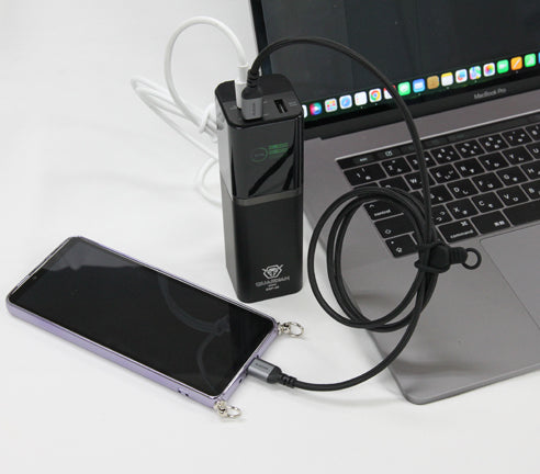 IDX SSP-50 半固体モバイルバッテリー GUARDIAN mini