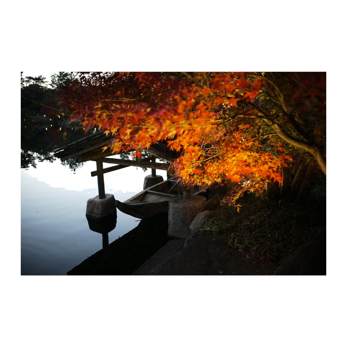 Thypoch TP-E2824MA-SRADR Eureka 28mm f/2.8 ASPH. ライカMマウント シルバー + ライカM→富士フイルムX マウントアダプター キット