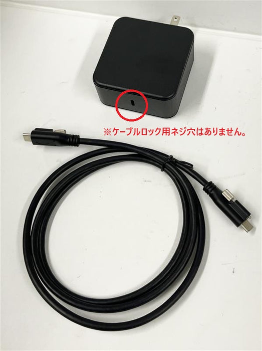 NEP USB-SY100W-LOCK1C USB PD対応ACアダプター（100W/2.0m）