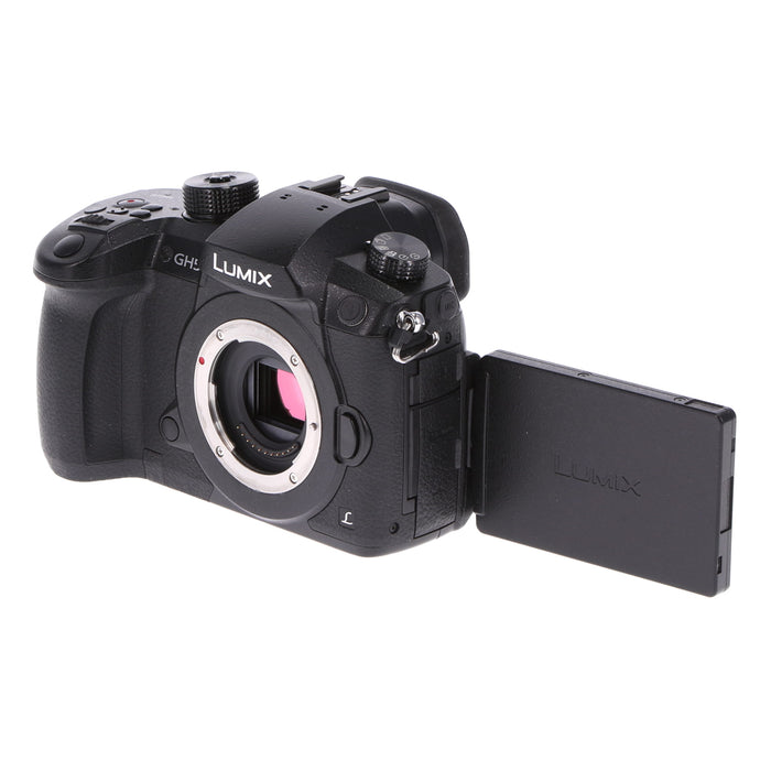 Panasonic LUMIX DC-GH5 (ボディのみ) V-log拡張済