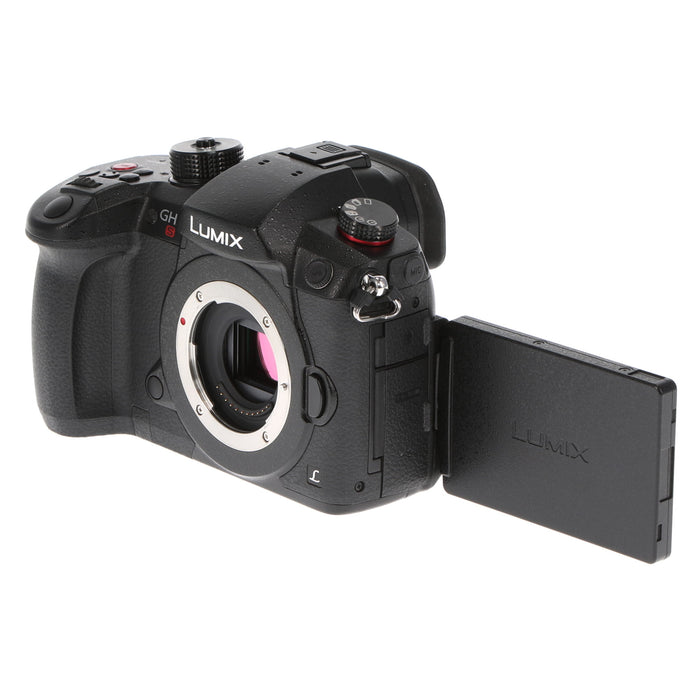 【中古品】Panasonic DC-GH5S-K ミラーレス一眼カメラ GH5S(ボディ)