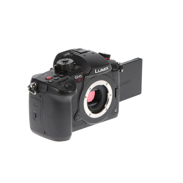 【中古品】Panasonic DC-GH5S-K ミラーレス一眼カメラ GH5S(ボディ)