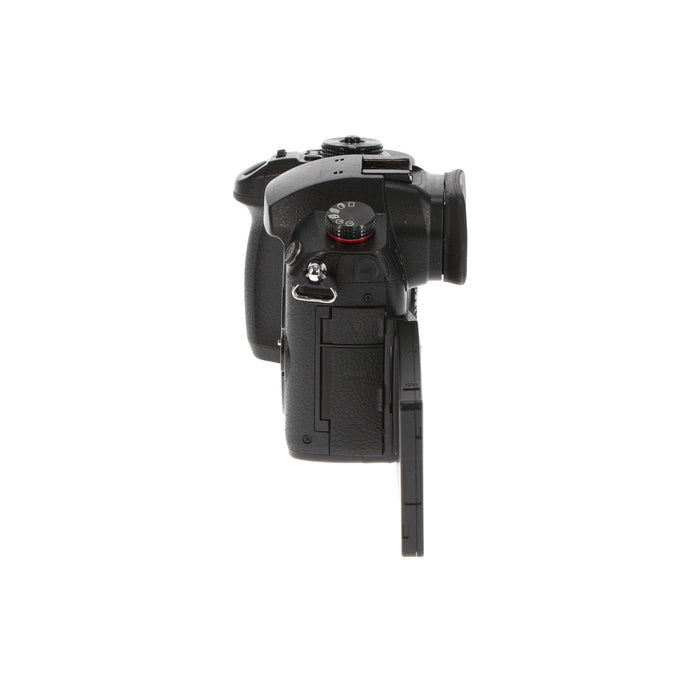 【中古品】Panasonic DC-GH5S-K ミラーレス一眼カメラ GH5S(ボディ)