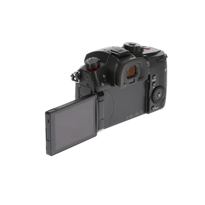 【中古品】Panasonic DC-GH5S-K ミラーレス一眼カメラ GH5S(ボディ)