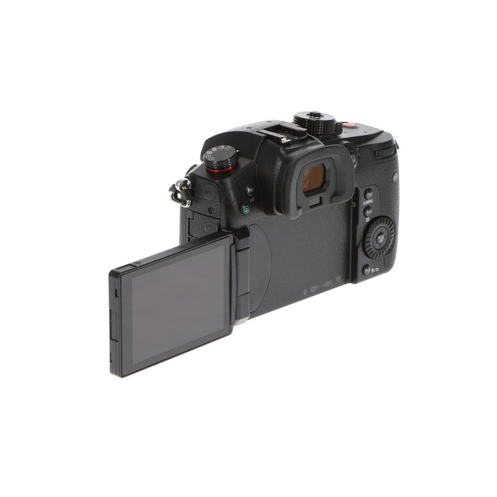 【中古品】Panasonic DC-GH5S-K ミラーレス一眼カメラ GH5S(ボディ)