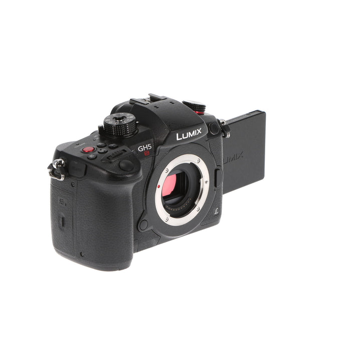 【中古品】Panasonic DC-GH5S-K ミラーレス一眼カメラ GH5S(ボディ)