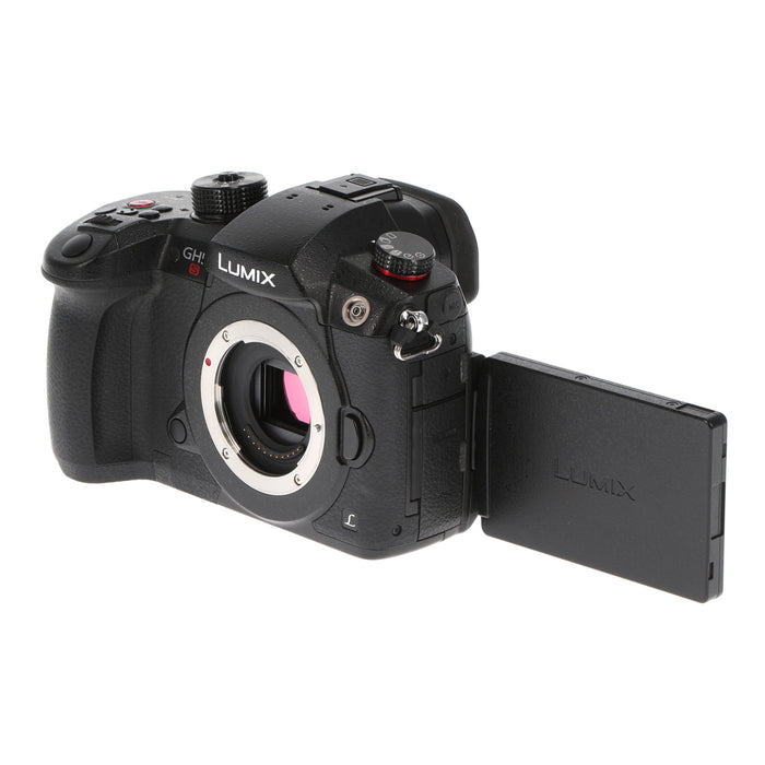 【中古品】Panasonic DC-GH5S-K ミラーレス一眼カメラ GH5S(ボディ)