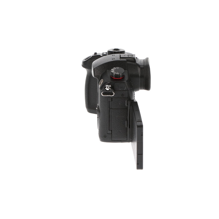 【中古品】Panasonic DC-GH5S-K ミラーレス一眼カメラ GH5S(ボディ)