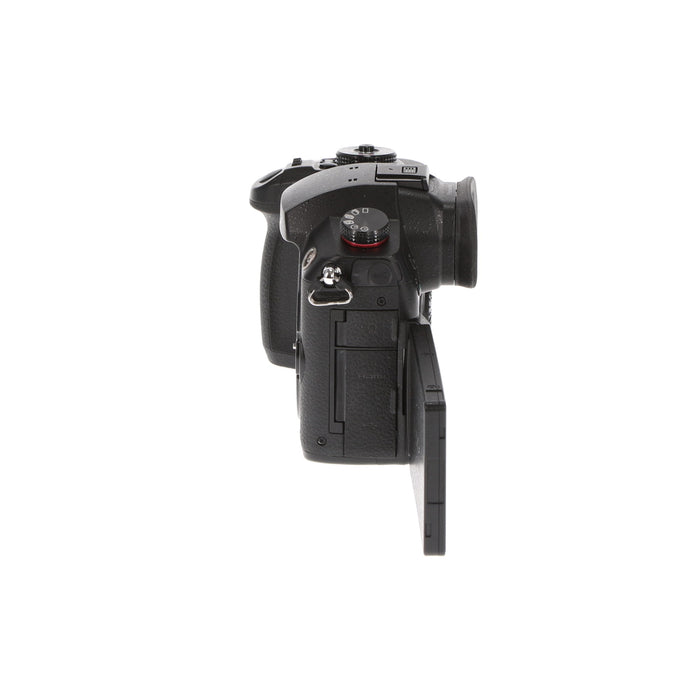 【中古品】Panasonic DC-GH5S-K ミラーレス一眼カメラ GH5S(ボディ)