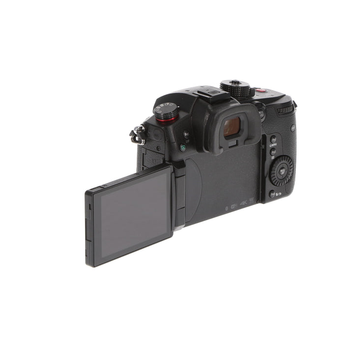 【中古品】Panasonic DC-GH5S-K ミラーレス一眼カメラ GH5S(ボディ)