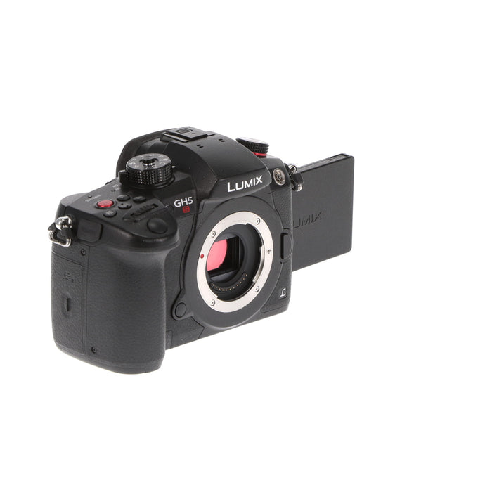 【中古品】Panasonic DC-GH5S-K ミラーレス一眼カメラ GH5S(ボディ)