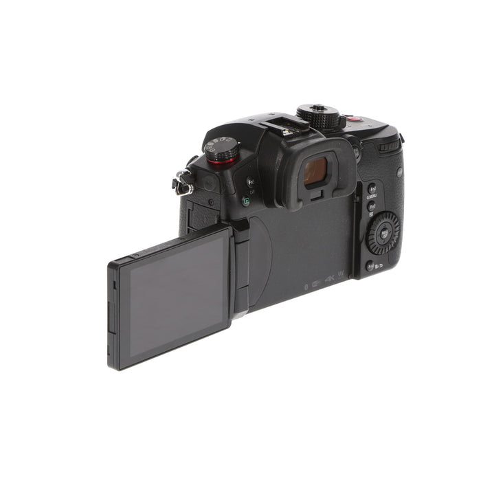 【中古品】Panasonic DC-GH5S-K ミラーレス一眼カメラ GH5S(ボディ)