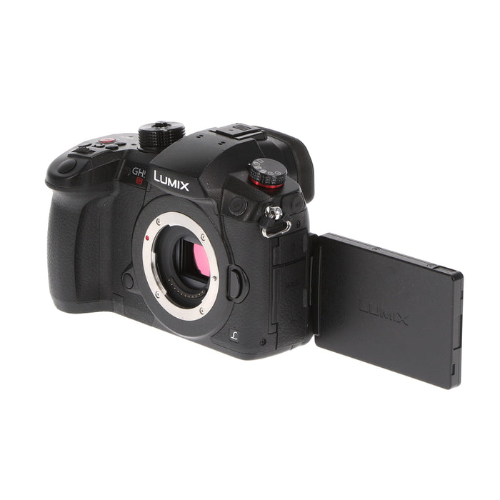 【中古品】Panasonic DC-GH5S-K ミラーレス一眼カメラ GH5S(ボディ)