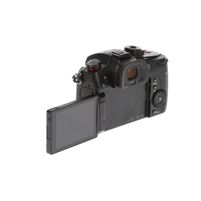 【中古品】Panasonic DC-GH5S-K ミラーレス一眼カメラ GH5S(ボディ)