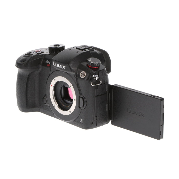 【中古品】Panasonic DC-GH5S-K ミラーレス一眼カメラ GH5S(ボディ)