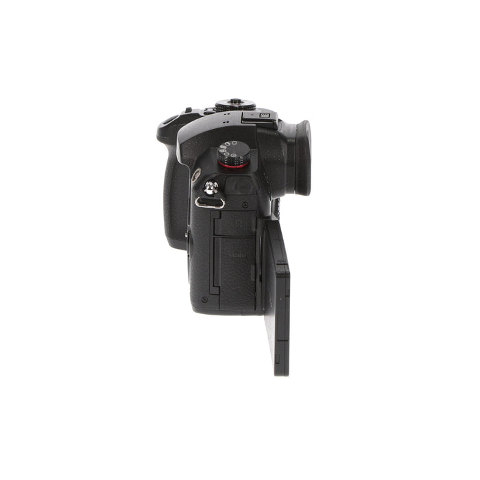 【中古品】Panasonic DC-GH5S-K ミラーレス一眼カメラ GH5S(ボディ)