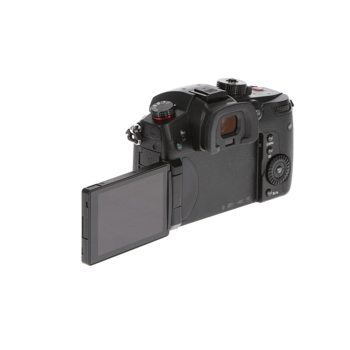 【中古品】Panasonic DC-GH5S-K ミラーレス一眼カメラ GH5S(ボディ)