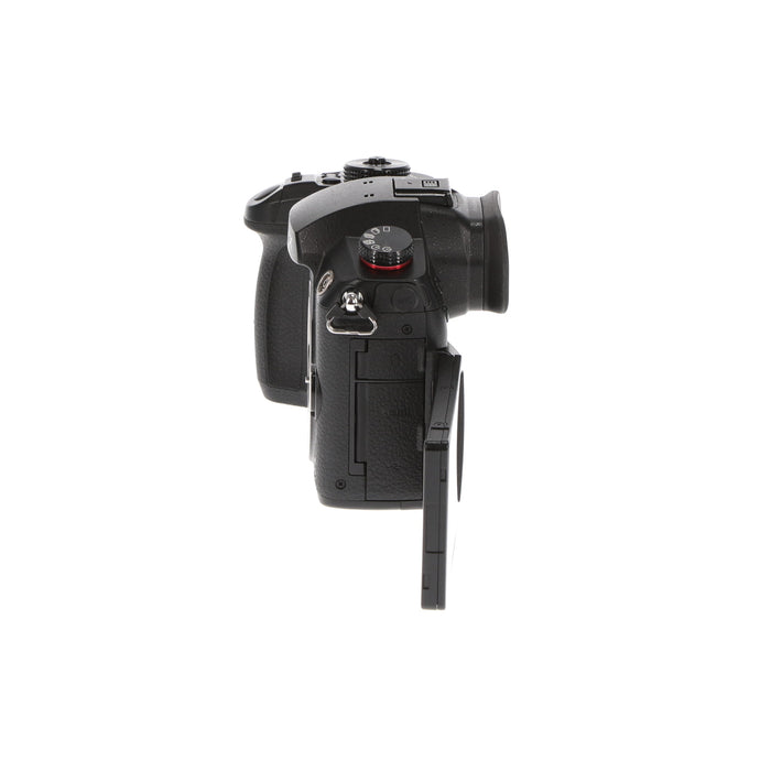 【中古品】Panasonic DC-GH5S-K ミラーレス一眼カメラ GH5S(ボディ)