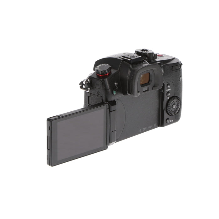 【中古品】Panasonic DC-GH5S-K ミラーレス一眼カメラ GH5S(ボディ)